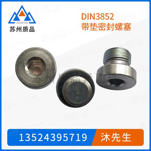 DIN3852带垫密封螺塞